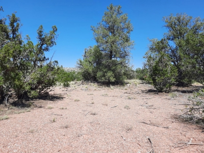38+ acre off grid Northern AZ Property - image 14