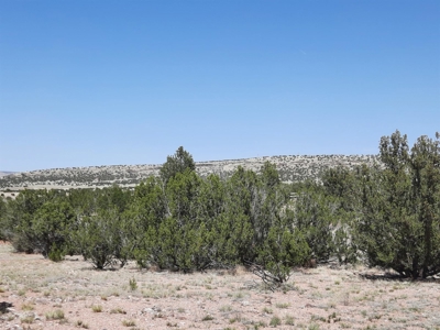 38+ acre off grid Northern AZ Property - image 5