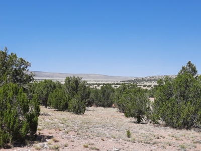 38+ acre off grid Northern AZ Property - image 6