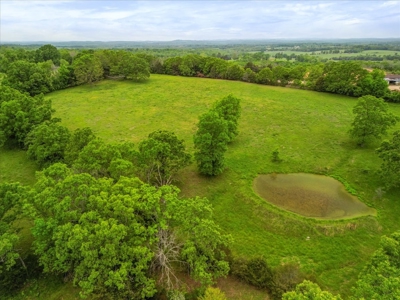 Southern Missouri Hobby Farm With Stunning Home - image 26