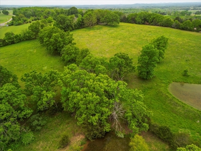 Southern Missouri Hobby Farm With Stunning Home - image 22
