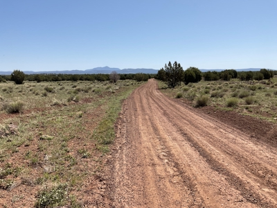 Ten Acre Homestead for sale in Ash Fork AZ - image 21