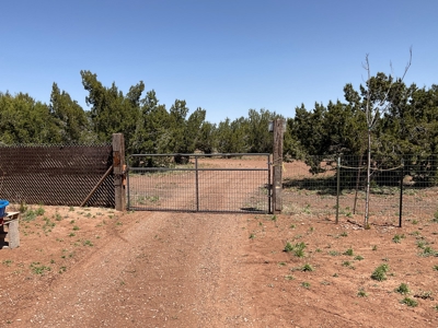 Ten Acre Homestead for sale in Ash Fork AZ - image 15