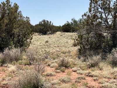 Ten Acre Homestead for sale in Ash Fork AZ - image 20