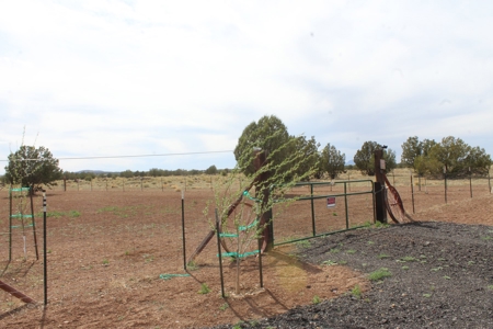 Ten Acre Homestead for sale in Ash Fork AZ - image 7