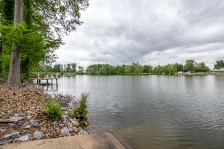 Waterfront Lot for Sale in Tiptonville, TN - image 17