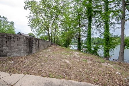 Waterfront Lot for Sale in Tiptonville, TN - image 14