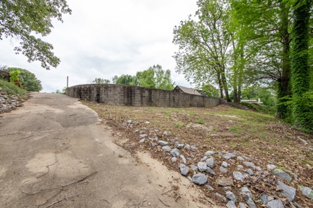Waterfront Lot for Sale in Tiptonville, TN - image 18