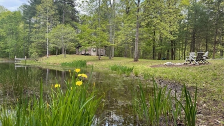 18 Ac± Of Land Located In Henry County, Va - image 8