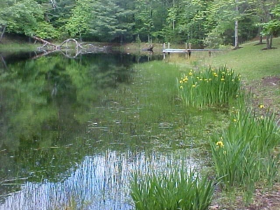 18 Ac± Of Land Located In Henry County, Va - image 10