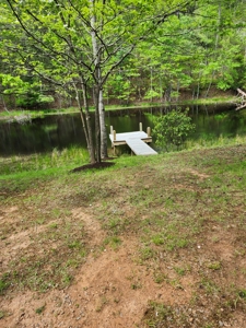 18 Ac± Of Land Located In Henry County, Va - image 9