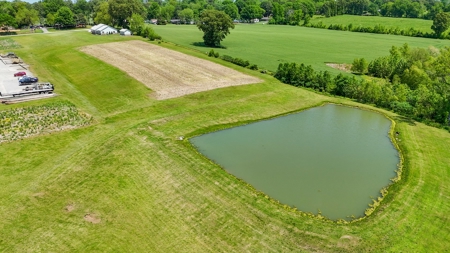 Country Home on 10 Acres for Sale in Dyer, TN - image 38