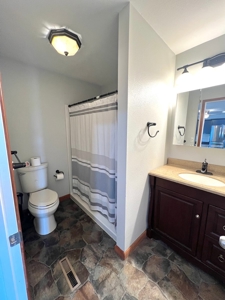 Beautiful Rural Home in Eastern IA FOR SALE! - image 15