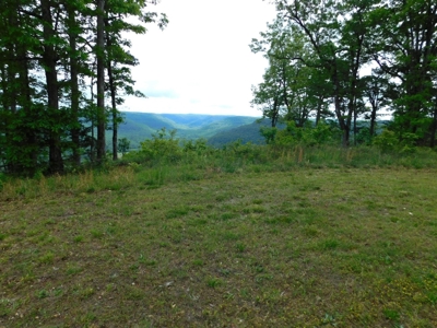 Land For Sale Overlooking Arkansas Grand Canyon 10.8 Acres - image 9