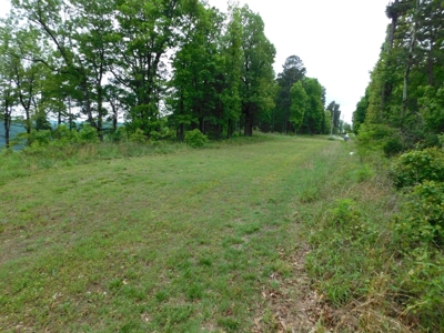 Land For Sale Overlooking Arkansas Grand Canyon 10.8 Acres - image 8