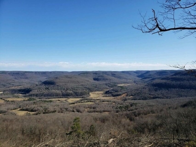 Land For Sale Overlooking Arkansas Grand Canyon 10.8 Acres - image 2