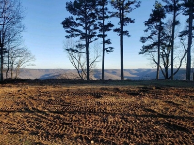 Land For Sale Overlooking Arkansas Grand Canyon 10.8 Acres - image 11