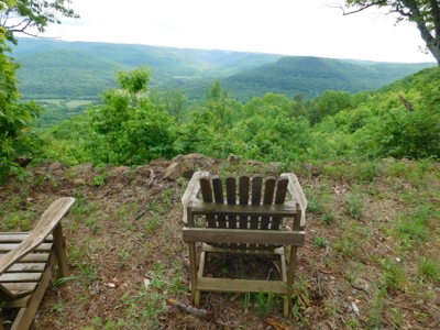 Land For Sale Overlooking Arkansas Grand Canyon 10.8 Acres - image 1