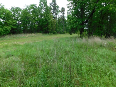 Land For Sale Overlooking Arkansas Grand Canyon 10.8 Acres - image 7