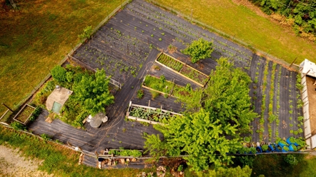 Ozarks Country Home & Hobby Farm For Sale Near Viola Ar - image 32