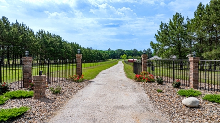 Gilmer, Texas Upshur County 20+ Acres  3/3/2 Home + Vineyard - image 6