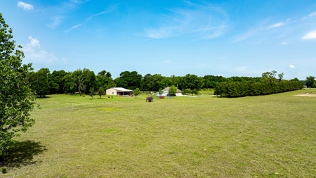 Gilmer, Texas Upshur County 20+ Acres  3/3/2 Home + Vineyard - image 49