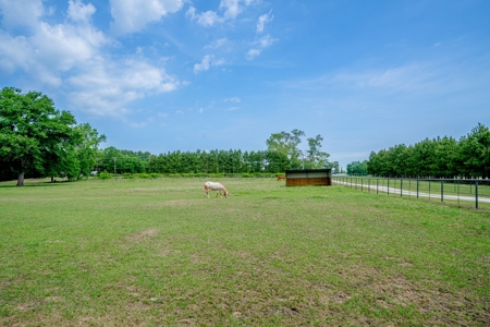 Gilmer, Texas Upshur County 20+ Acres  3/3/2 Home + Vineyard - image 48