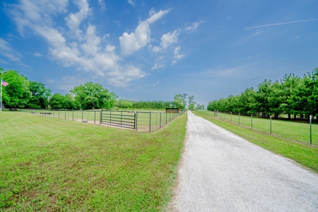 Gilmer, Texas Upshur County 20+ Acres  3/3/2 Home + Vineyard - image 47