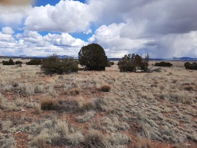 Great Northern AZ off grid property - image 4