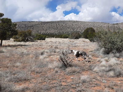 Great Northern AZ off grid property - image 6