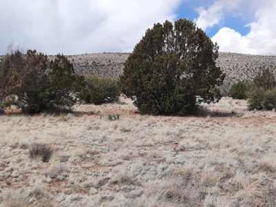 Great Northern AZ off grid property - image 7