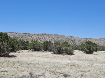 Rural off grid Northern AZ Property - image 1