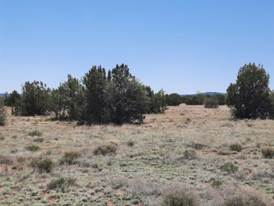 Rural off grid Northern AZ Property - image 9