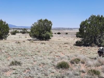 Rural off grid Northern AZ Property - image 7