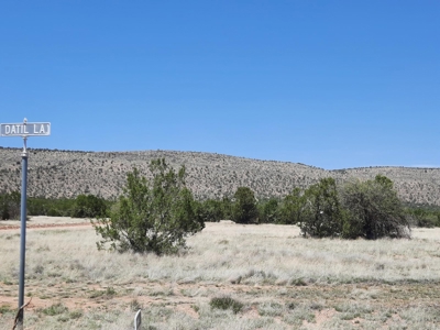 Rural off grid Northern AZ Property - image 5
