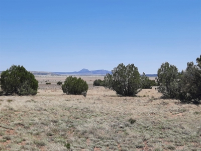 Rural off grid Northern AZ Property - image 3
