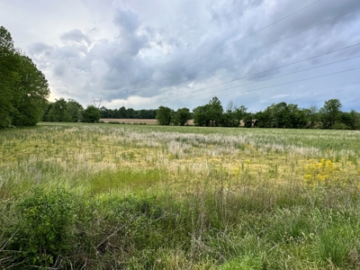 30 Acres Barren County KY, Creek Access, Hunting - image 3