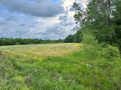 30 Acres Barren County KY, Creek Access, Hunting - image 4