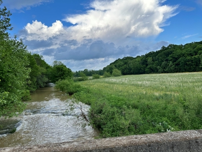 30 Acres Barren County KY, Creek Access, Hunting - image 10