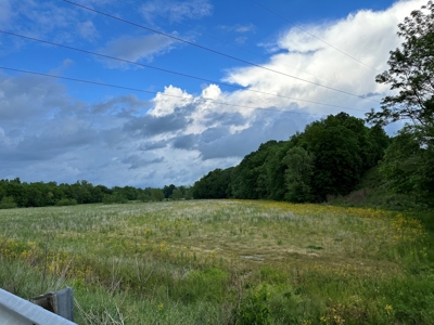 30 Acres Barren County KY, Creek Access, Hunting - image 6