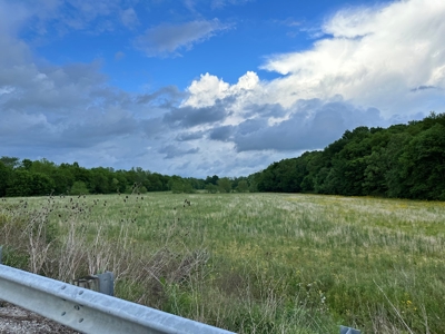 30 Acres Barren County KY, Creek Access, Hunting - image 8