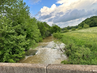 30 Acres Barren County KY, Creek Access, Hunting - image 9