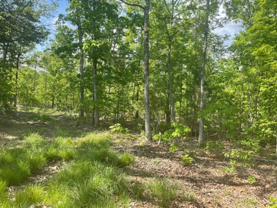 80 Acres in Texas County Missouri - image 15