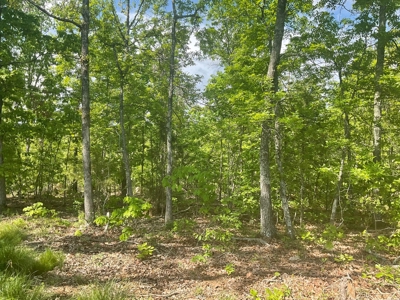 80 Acres in Texas County Missouri - image 16