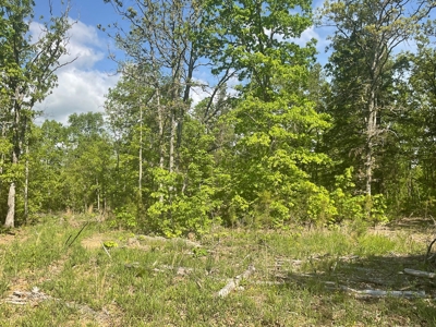80 Acres in Texas County Missouri - image 6