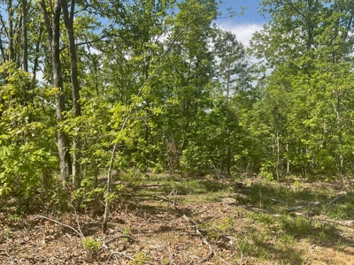 80 Acres in Texas County Missouri - image 9