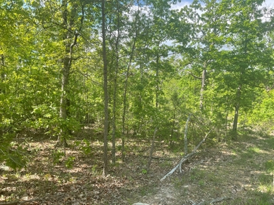 80 Acres in Texas County Missouri - image 12