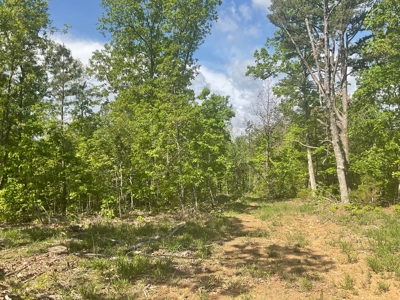 80 Acres in Texas County Missouri - image 8