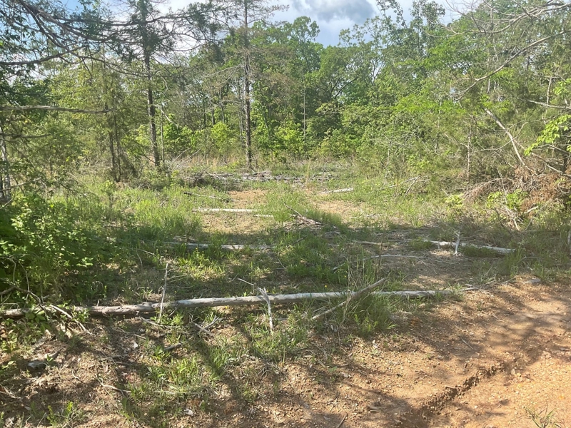another open area