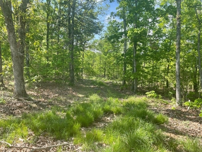 80 Acres in Texas County Missouri - image 14